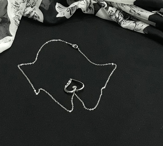 Silver Coloured Necklace - NEC22