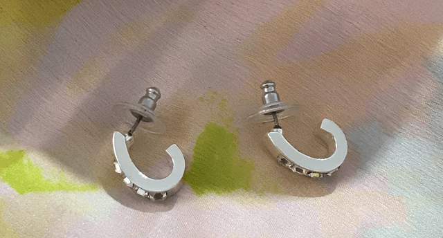 Silver Coloured Stud Earrings- STU35