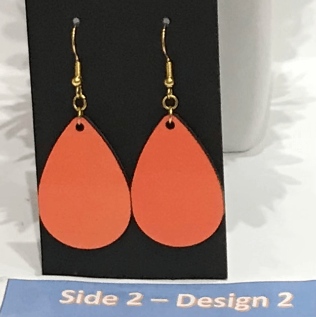 Two in One Mixed Colour Dangling Earrings- 2SD13