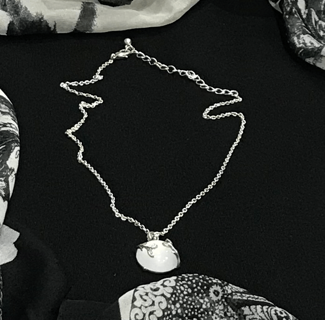 Silver Coloured Necklace-NEC43