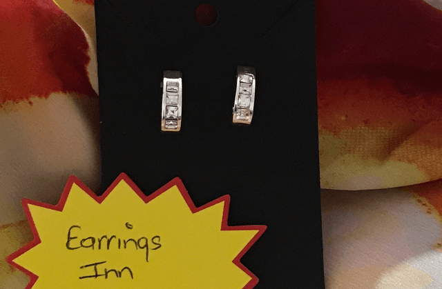 Silver Coloured Stud Earrings- STU35