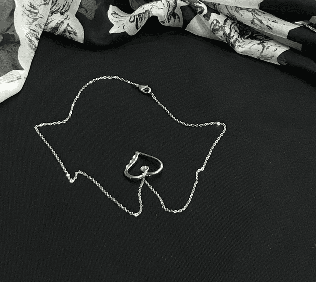Silver Coloured Necklace - NEC22